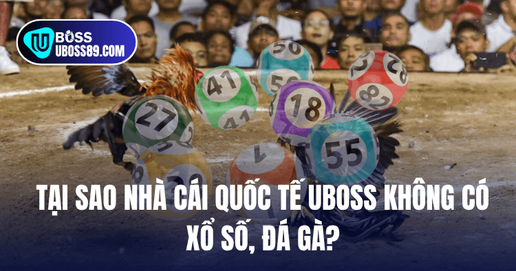 nhà cái uboss không có đá gà